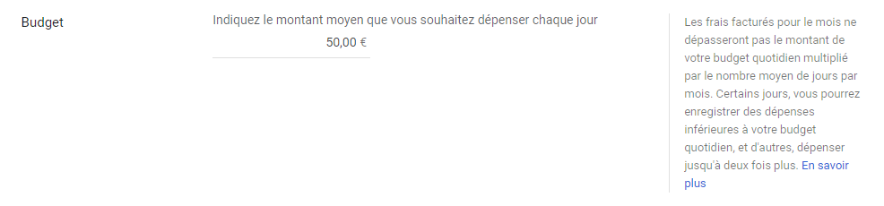 Google Ads - Budget