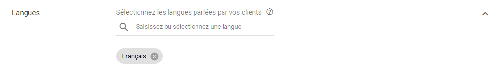 Google Ads - Ciblage par langue