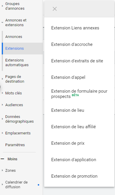 Google Ads - Extension d'annonces